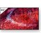 Sony FW-65BZ40PB (65"), näyttö – kuva 1