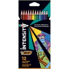 BIC Intensity 12 kpl värikynä