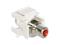 Delock Keystone module RCA female > RCA female red – kuva 3
