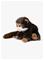 WWF Pehmolelu Tamariini 18 cm – kuva 1