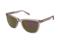 Aurinkolasit Superdry SDS 5034 151 – kuva 1