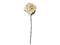 Bloomingville Hydrangea Stem - Cream - H65CM – kuva 2