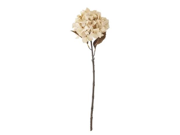 Bloomingville Hydrangea Stem - Cream - H65CM