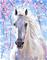 FA White Horse numeromaalaus – kuva 2