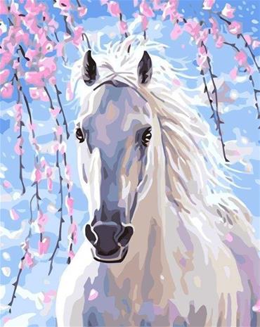 FA White Horse numeromaalaus