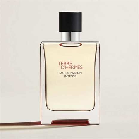 Hermès Terre d'Hermès Intense - EdP 100 ml