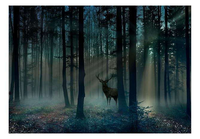 Artgeist Mystical Forest - Third Variant fototapetti – kuva 2/2