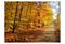 Artgeist Beech forest fototapetti – kuva 3