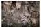 Artgeist Mysterious Jungle fototapetti – kuva 3