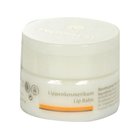 Dr Hauschka huulirasva Huulirasva 4.5ml