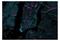 Artgeist Blue Manhattan fototapetti – kuva 2