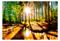 Artgeist Marvelous Forest fototapetti – kuva 8