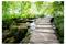 Artgeist Forest path itseliimautuva fototapetti – kuva 3