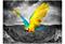 Artgeist Exotic parrot fototapetti – kuva 4