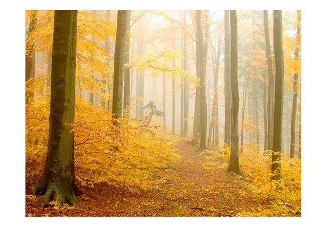 Artgeist metsätalouden - efterä¥r fototapetti
