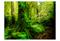 Artgeist Jungle fototapetti – kuva 3
