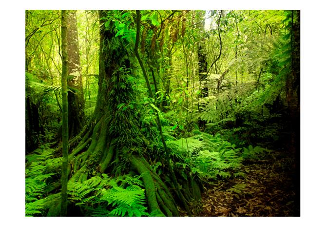 Artgeist Jungle fototapetti