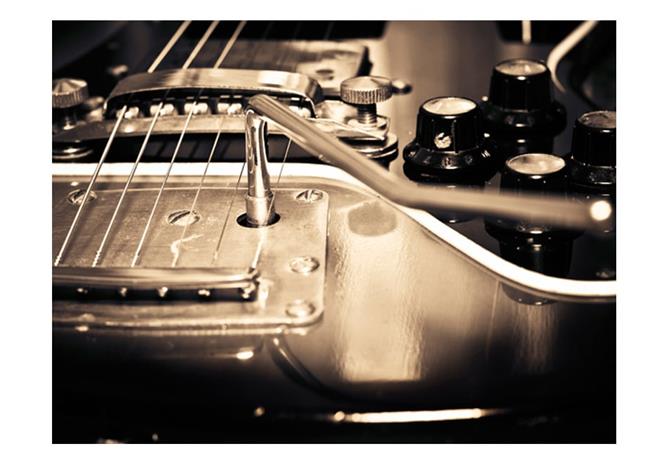 Artgeist Guitar fototapetti