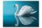 Artgeist swan - reflection fototapetti – kuva 3