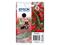 Epson Singlepack Black 503XL Ink – kuva 3