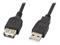 Lanberg - USB extension cable - USB to USB - 5 m, Kaapelit ja adapterit – kuva 4