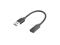 Lanberg - USB-C adapter - USB Type A to 24 pin USB-C - 15 cm – kuva 5