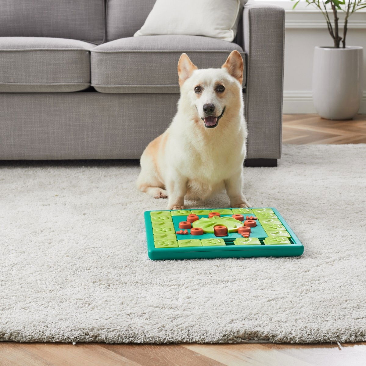 Nina Ottosson Dog MultiPuzzle vihreä