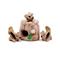 Hide a Squirrel lelu koirille - M – kuva 3