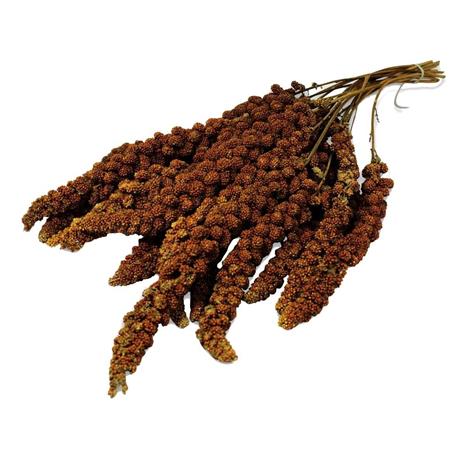 JR FARM Hirssintähkä 250 g