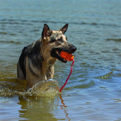 KONG Aqua - Large (10 cm), 1 kpl