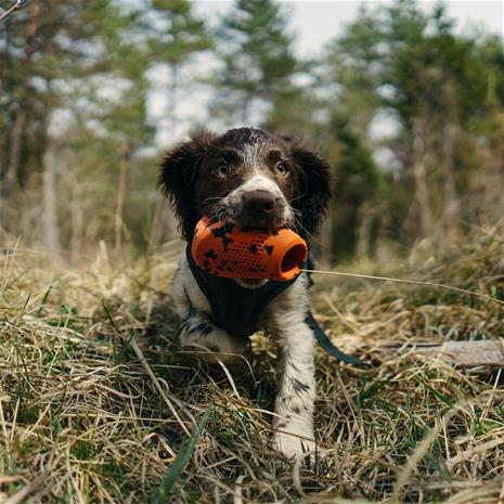 Non-Stop - Throwing Toy - Orange/black - one size