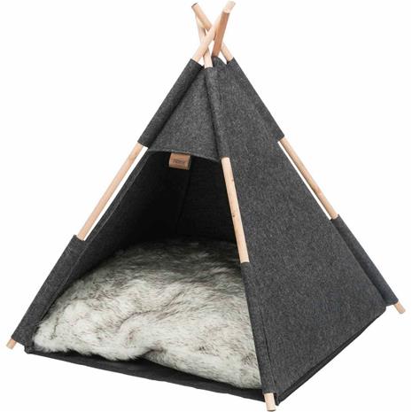 Igloo Tipi