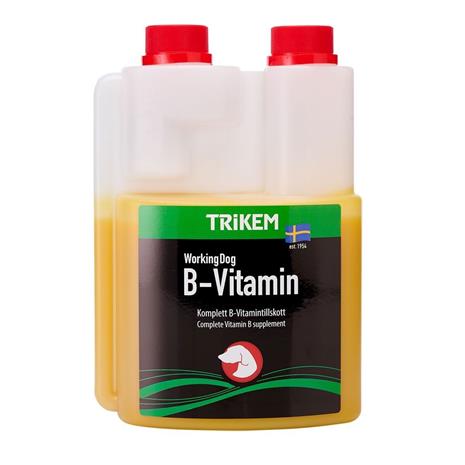 TRIKEM - B-Vitamin 3L - (721.2023)