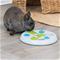 Trixie Slide & Fun Board plastic ø 23 cm – kuva 2