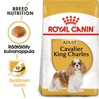 Royal Canin Cavalier King Charles Adult Kuivaruoka koirille 7,5 kg