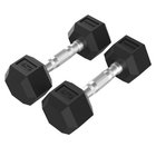 Urheilutarvikkeet, TUNTURI Platinum, kuusikulmaiset kumikäsipainot, 2*4 kg, 1 kpl.