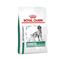 Royal Canin Diabetic – kuva 1