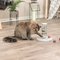 Trixie Cat Activity Gambling Tower – kuva 1