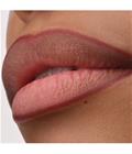 CATRICE Precision Ink Lip Liner Stain Huultenrajauskynä 1 ml Nr. 050 - Dressed In Drama