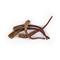 Eat Rustic Possunsaparo 10 kpl – kuva 1