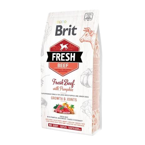 Brit Fresh Beef&Pumpkin PuppyLarge