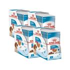 Royal Canin Medium Puppy 40x140 g