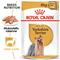 Royal Canin Yorkshirenterrieri Aikuisten märkäruoka 85 g x 12 kpl – kuva 2