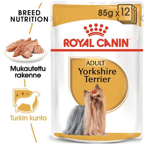 Royal Canin Yorkshirenterrieri Aikuisten märkäruoka 85 g x 12 kpl