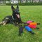 Dingo Gear Bungee Bite Tug – kuva 1