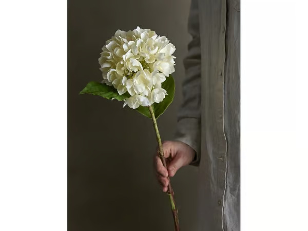Bloomingville Hydrangea Stem - White - H56CM