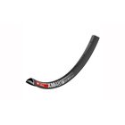 Vanne - DT Swiss 29" XM 481
