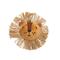 Beeztees Jungle Cat Lion Leon – kuva 1