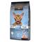 Leonardo Kitten GF – kuva 1