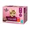 PRIMACAT CL STERIL. 12X85G KASTIKELAJ – kuva 4